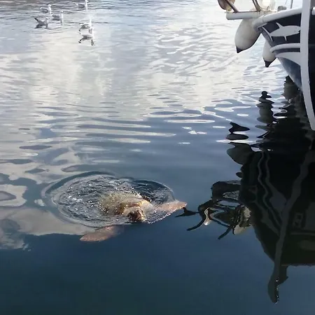 Joleni In Keramies * Korianna